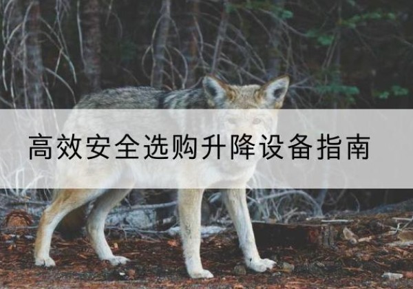 岑巩升降货梯厂家推荐-*安全选购升降设备指南