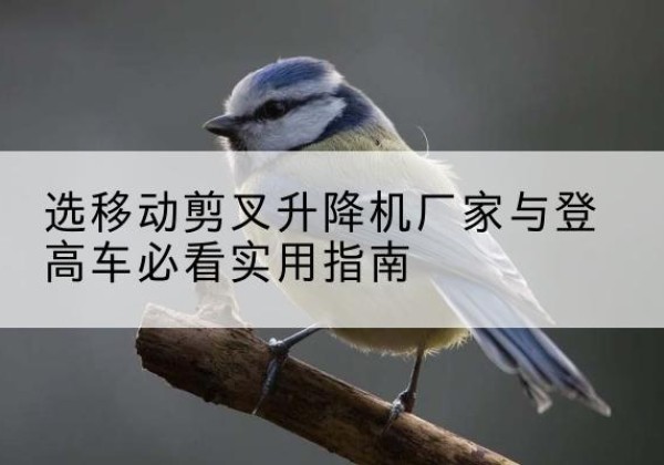 岑巩电动升降机厂家-选移动剪叉升降机厂家与登高车必看实用指南